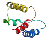 Transmembrane Protein 109 (TMEM109)