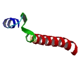 Transmembrane Protein 11 (TMEM11)