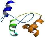 Transmembrane Protein 110 (TMEM110)