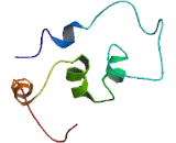 Transmembrane Protein 111 (TMEM111)