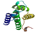 Transmembrane Protein 115 (TMEM115)