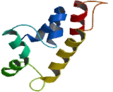 Transmembrane Protein 117 (TMEM117)