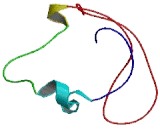 Transmembrane Protein 119 (TMEM119)