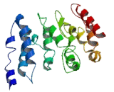 Transmembrane Protein 120A (TMEM120A)