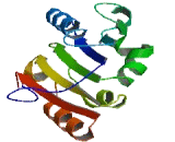 Transmembrane Protein 123 (TMEM123)