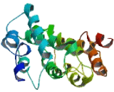 Transmembrane Protein 125 (TMEM125)