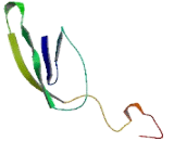 Transmembrane Protein 130 (TMEM130)