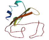 Transmembrane Protein 131 Like Protein (TME<b>M131</b>L)