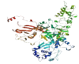 Transmembrane Protein 132B (TME<b>M132</b>B)