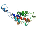 Transmembrane Protein 132C (TMEM132C)