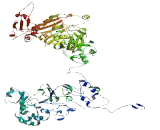 Transmembrane Protein 132E (TMEM132E)