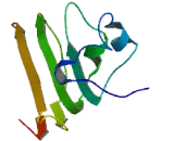 Transmembrane Protein 134 (TMEM134)