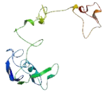 Transmembrane Protein 136 (TMEM136)