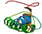 Transmembrane Protein 138 (TMEM138)