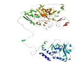 Cation Channel Sperm Associated Protein Subunit Delta (CATSPERd)