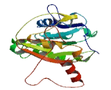 Transmembrane Protein 151 (TMEM151)