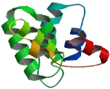 Transmembrane Protein 154 (TMEM154)