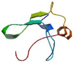 Transmembrane Protein 155 (TMEM155)