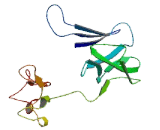 Transmembrane Protein 156 (TMEM156)