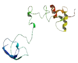 Transmembrane Protein 160 (TMEM160)