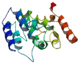 Transmembrane Protein 161A (TMEM161A)