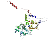 Transmembrane Protein 161B (TMEM161B)