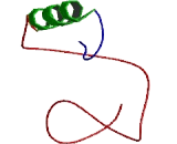 Transmembrane Protein 165 (TMEM165)