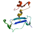 Transmembrane Protein 166A (TME<b>M166</b>A)