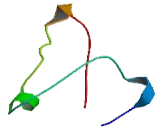 Transmembrane Protein 167 (TMEM167)