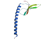 Transmembrane Protein 169 (TMEM169)