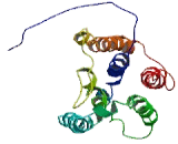 Transmembrane Protein 173 (TMEM173)