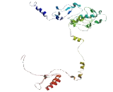 Transmembrane Protein 175 (TMEM175)