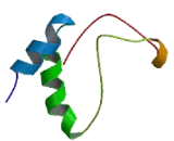 Transmembrane Protein 176A (TMEM176A)