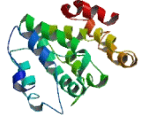 Transmembrane Protein 176B (TMEM176B)