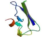 Transmembrane Protein 178 (TMEM178)