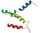 Transmembrane Protein 179 (TMEM179)