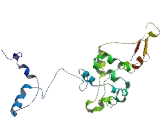 Transmembrane Protein 181 (TMEM181)