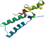 Transmembrane Protein 182 (TMEM182)