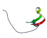 Transmembrane Protein 184A (TMEM184A)