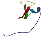 Transmembrane Protein 184B (TMEM184B)