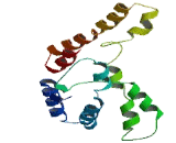 Transmembrane Protein 185A (TMEM185A)