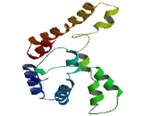 Transmembrane Protein 185B (TMEM185B)