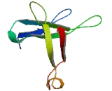 Transmembrane Protein 186 (TMEM186)