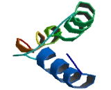 Transmembrane Protein 19 (TMEM19)