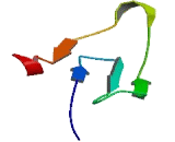 Transmembrane Protein 190 (TMEM190)