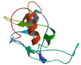 Transmembrane Protein 191B (TMEM191B)