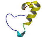 Transmembrane Protein 192 (TMEM192)