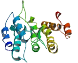 Transmembrane Protein 199 (TMEM199)