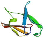 Transmembrane Protein 2 Like Protein (TMEM2L)