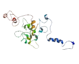 Transmembrane Protein 200B (TMEM200B)